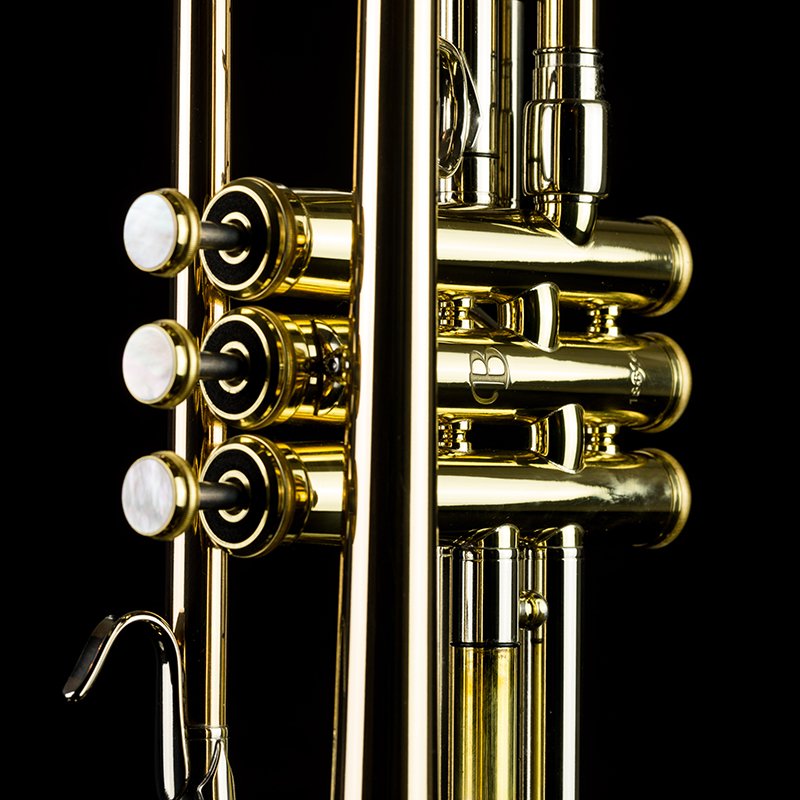 Buddenbohm Kornett – Detailaufnahme 1