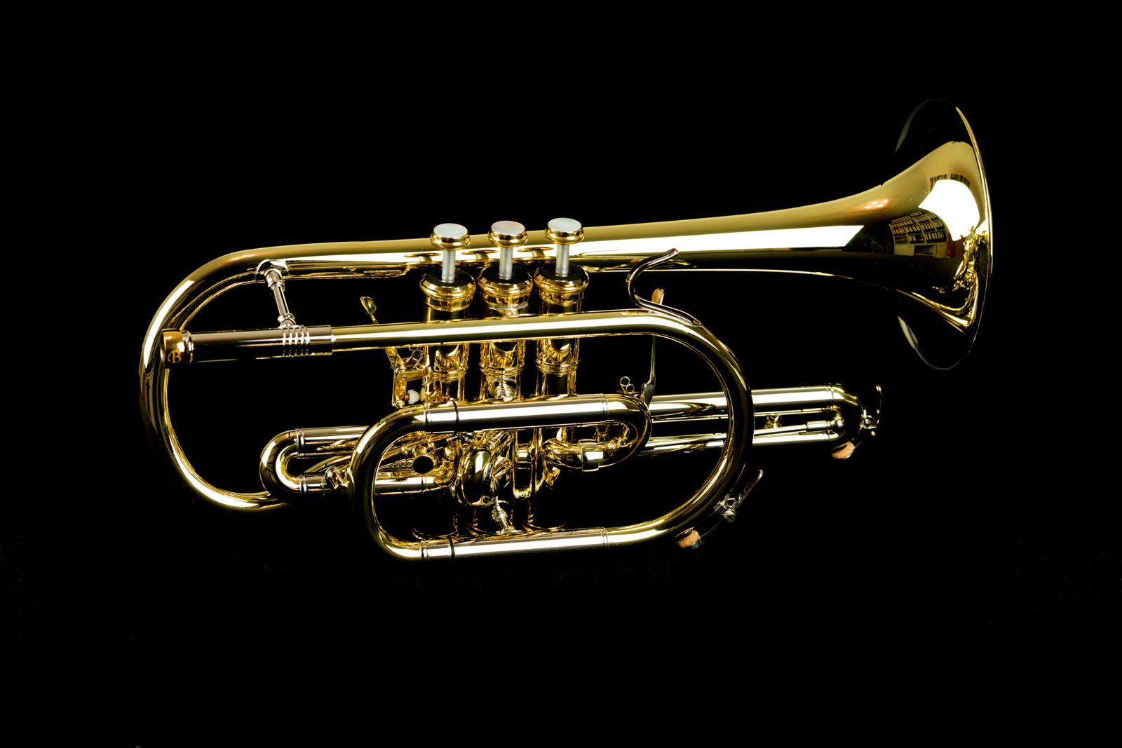 Buddenbohm Kornett – Detailaufnahme 4